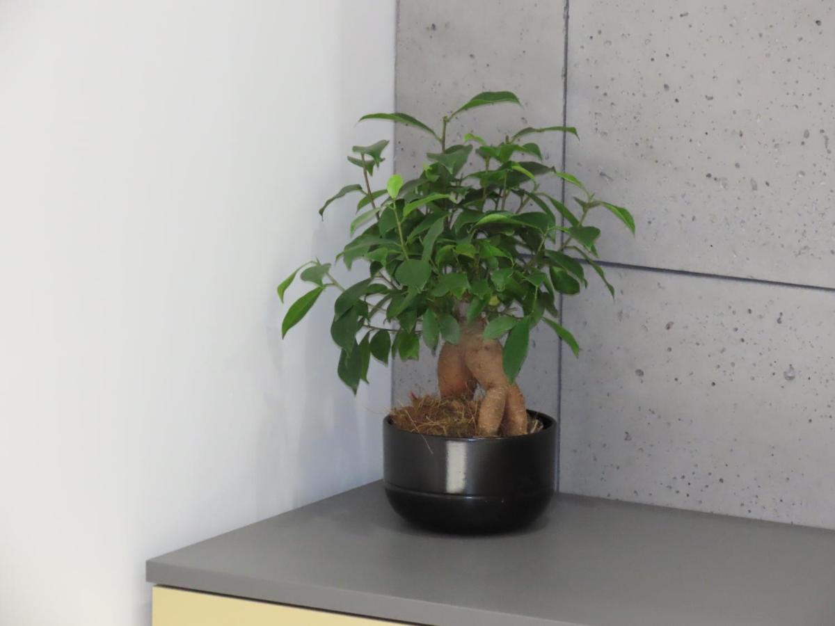 El Apartments - Solaris Poznań Eksteriør billede